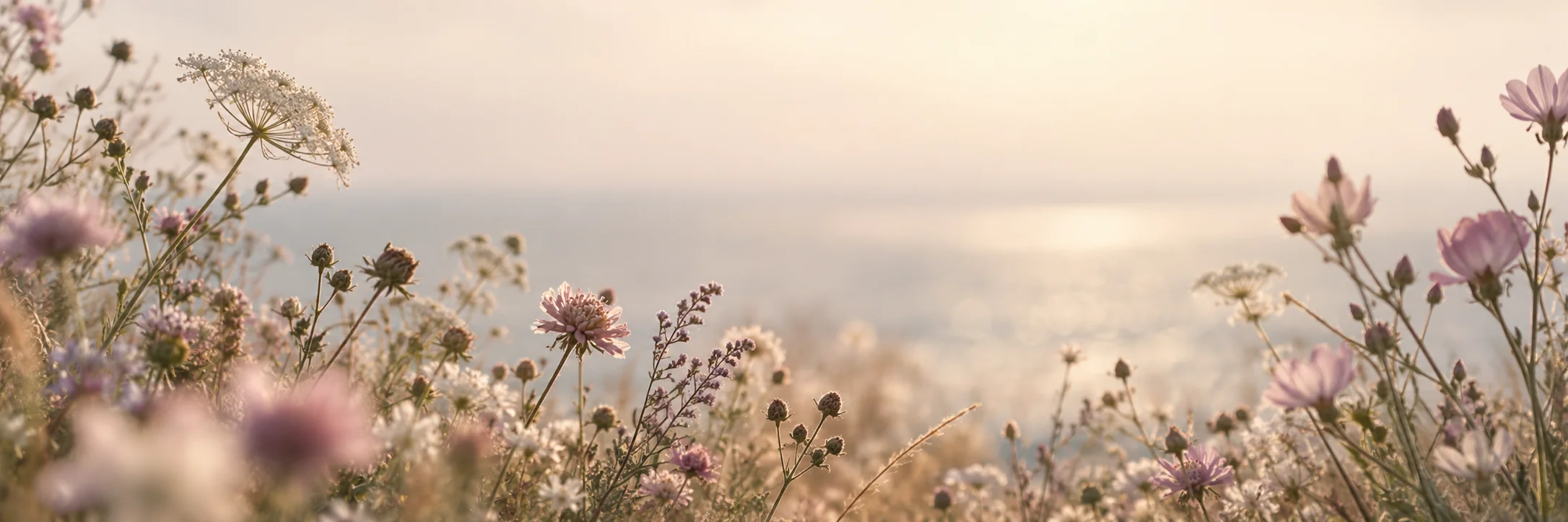 Rosa, lilla og hvide blomster foran et blødt, sløret hav i varmt lys